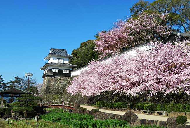 玖島城跡の画像